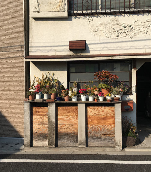 Container garden in Yanaka, Tokyo
