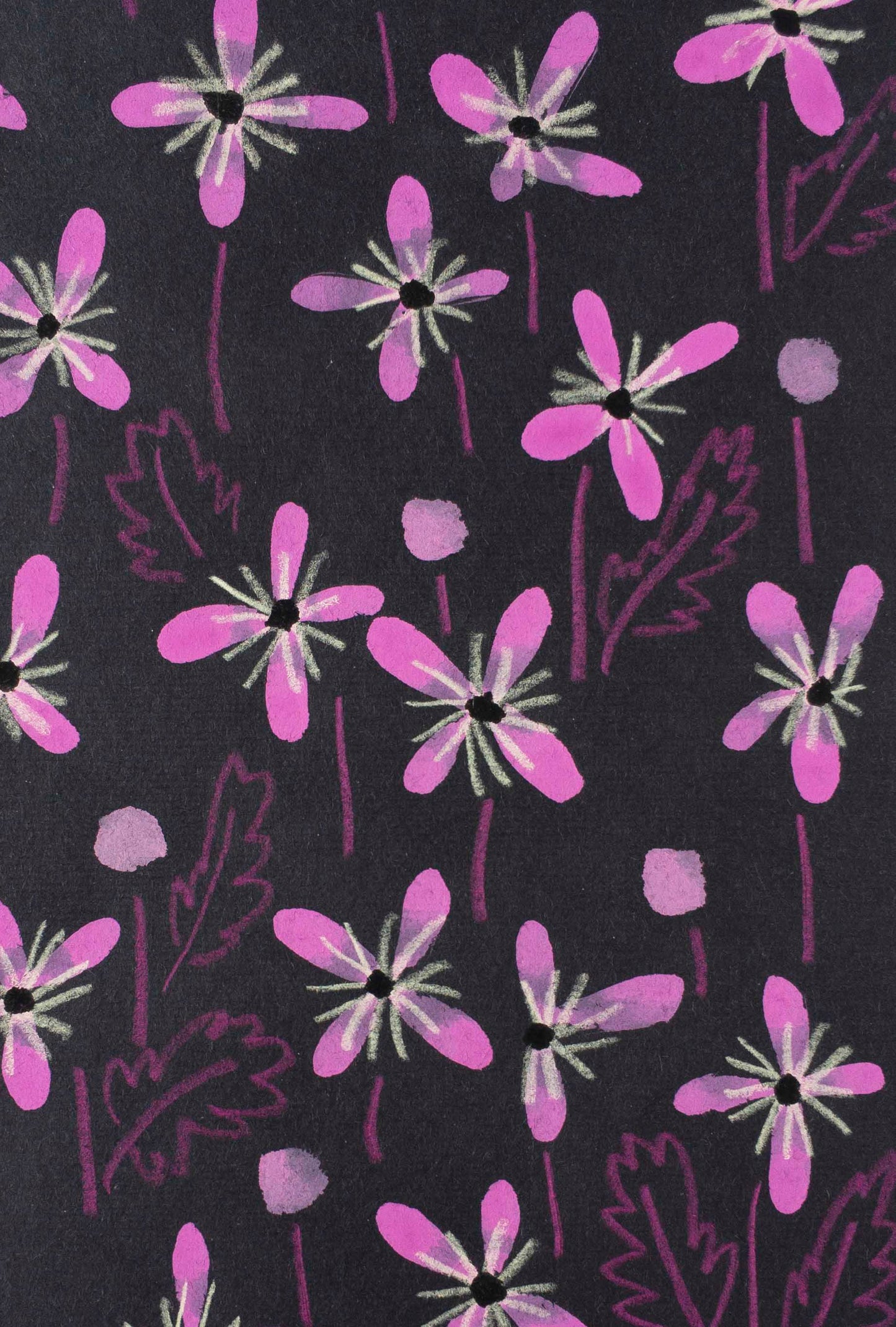 Pink Clematis