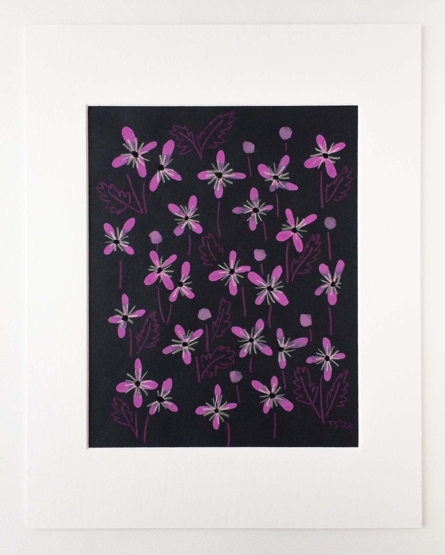 Pink Clematis
